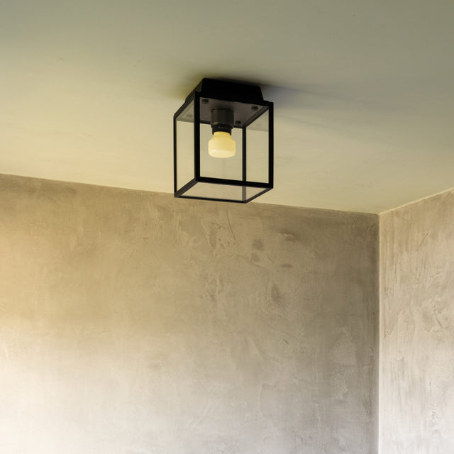 Wet Ceiling Outdoor/Bath Wet Ceiling Gloss Small Buster + Punch