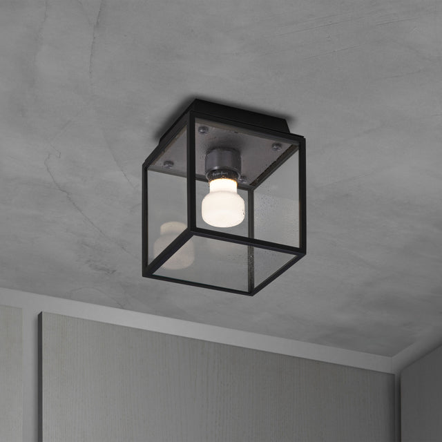 Wet Ceiling Outdoor/Bath Wet Ceiling Gloss Small Buster + Punch
