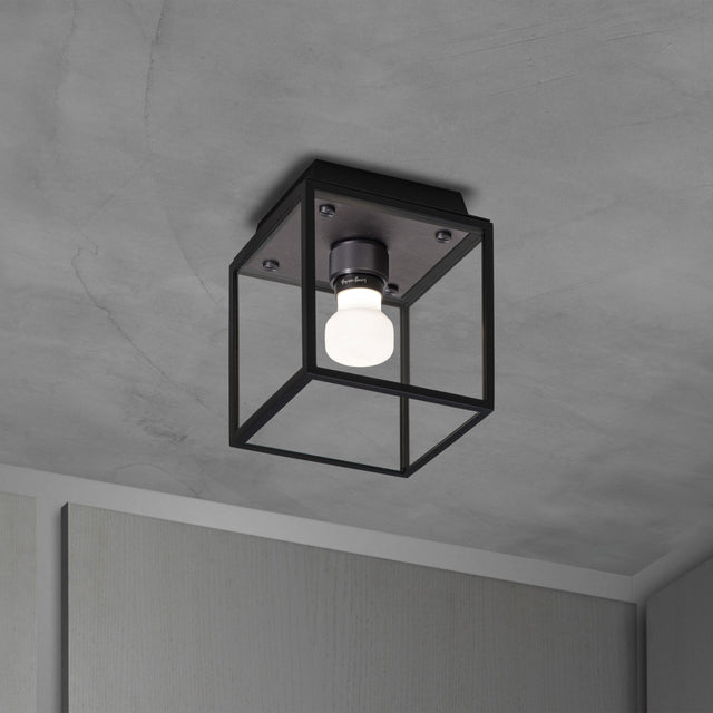 Wet Ceiling Outdoor/Bath Wet Ceiling Gloss Small Buster + Punch