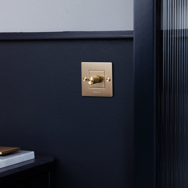 Dimmschalter Dimmbar 1G Buster + Punch
