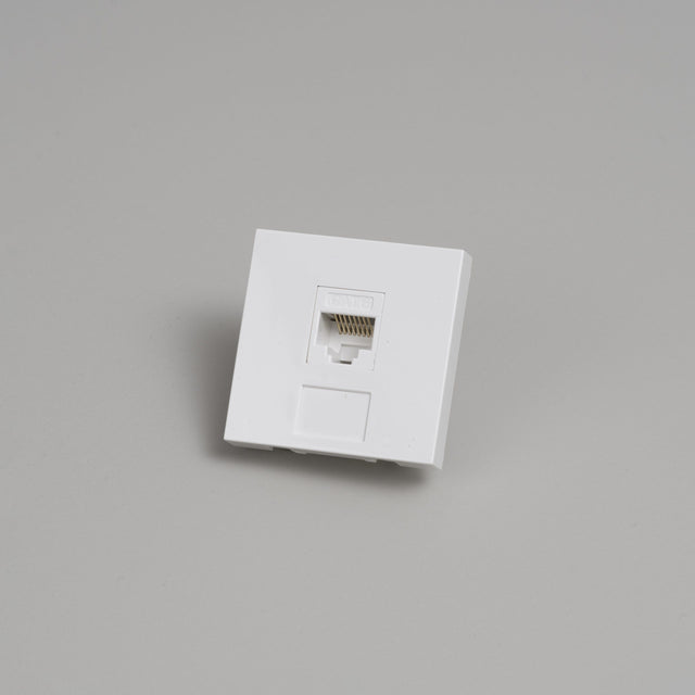 RJ45 Cat6 Internet Module - Buster + Punch
