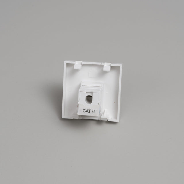 RJ45 Cat6 Internet Module - Buster + Punch