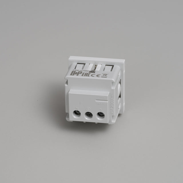 SCHUKO socket module Type F - 45mm - Buster + Punch