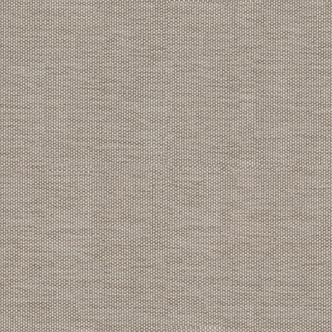 C028 Lotus Sparrow