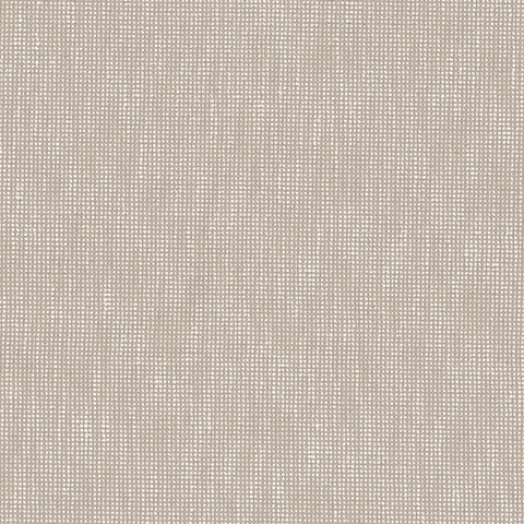 C197 Moonstone