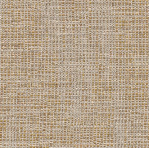 C200 Twisted Honey