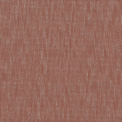 C206 Canyon Clay