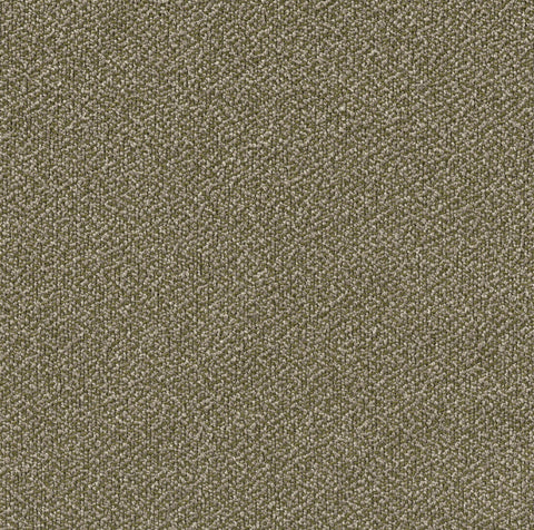 C213 Olive Haze FR