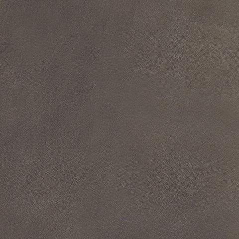 Moon Grey