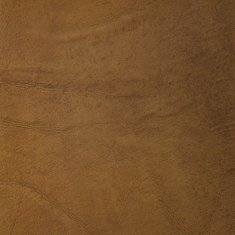 Camel Matt