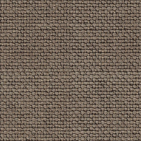 Liver